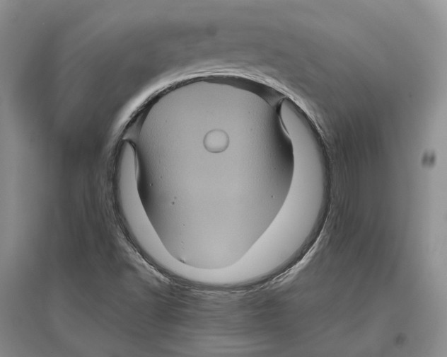 X0000096421502200802211112