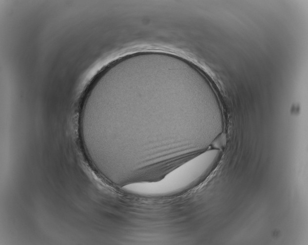 X0000096421503200802211112