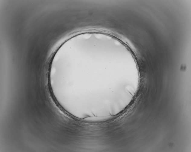 X0000096421504200802211112