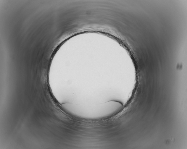 X0000096421505200802211112