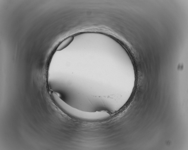 X0000096421506200802211112