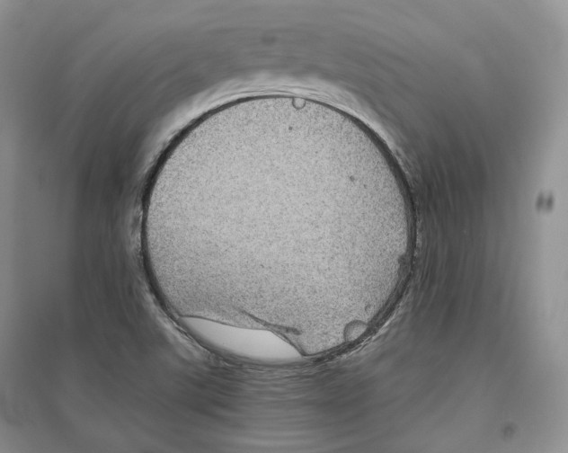 X0000096421507200802211112