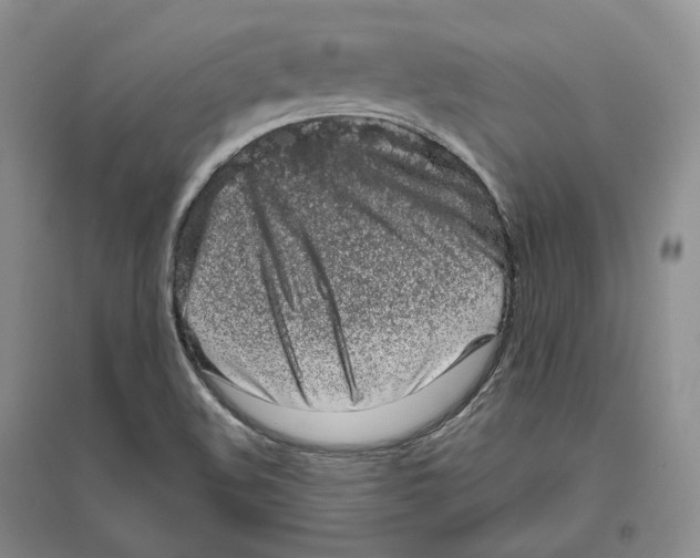 X0000096421508200802211112