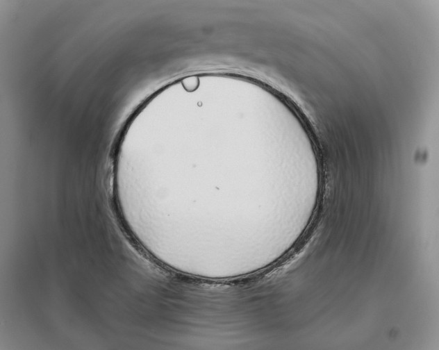 X0000096421509200802211112