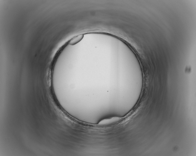 X0000096421510200802211112