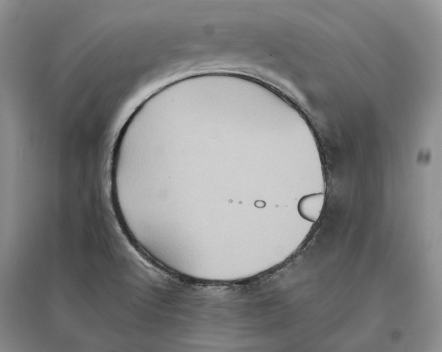 X0000096421512200802211112