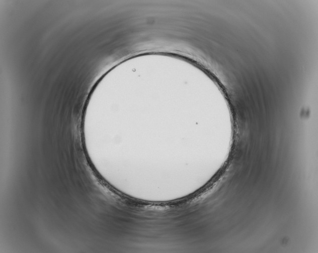 X0000096421513200802211112