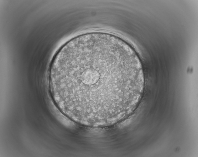 X0000096421514200802211112