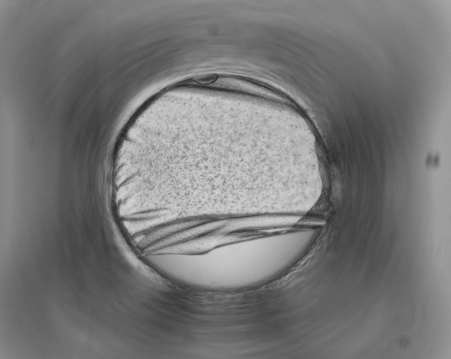 X0000096421515200802211112