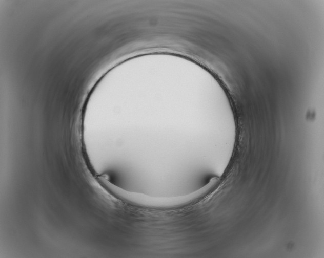 X0000096421516200802211112