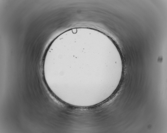 X0000096421517200802211112