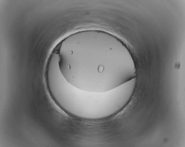 X0000096421518200802211112