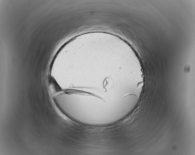 X0000096421519200802211112