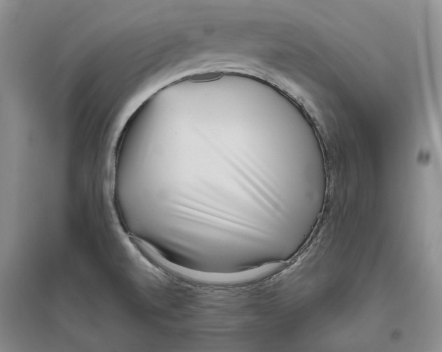 X0000096421520200802211112