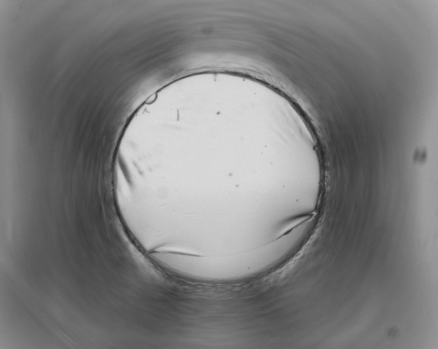 X0000096421521200802211112