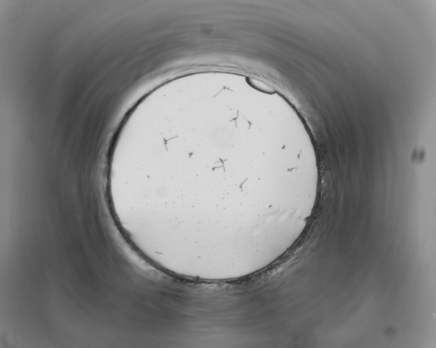 X0000096421523200802211112