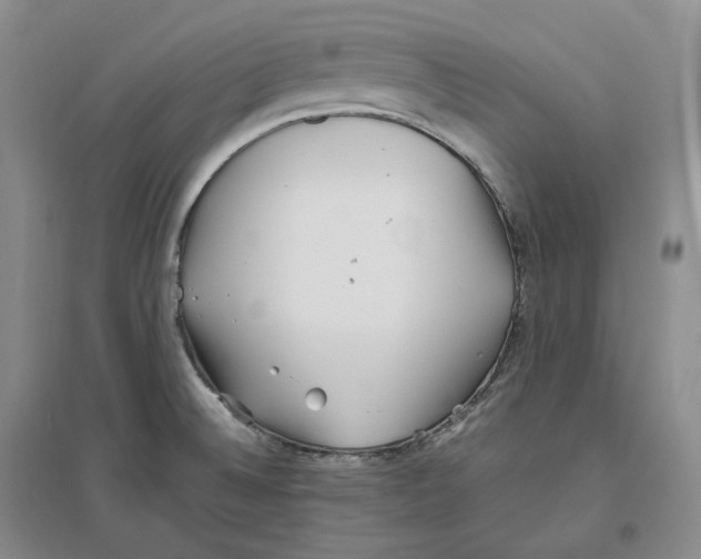 X0000096421524200802211112