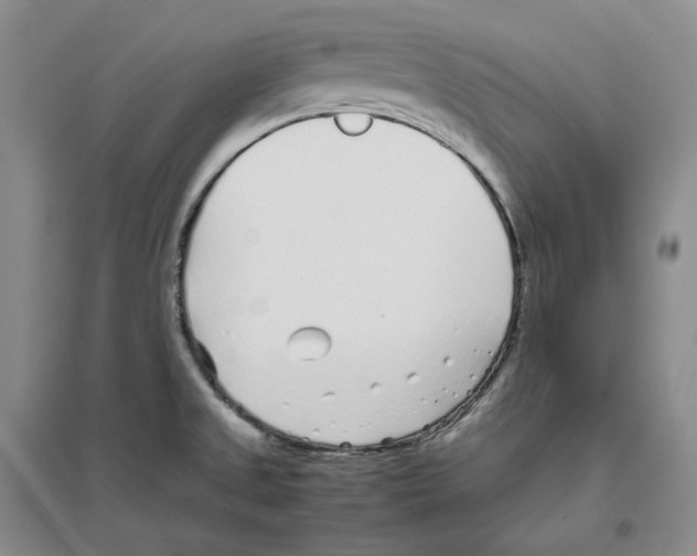 X0000096421525200802211112