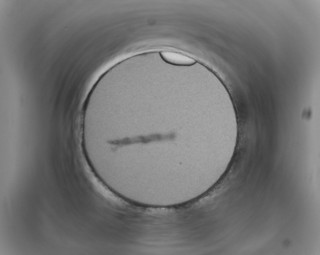 X0000096421526200802211112