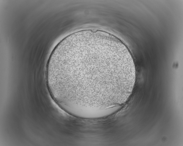 X0000096421527200802211112