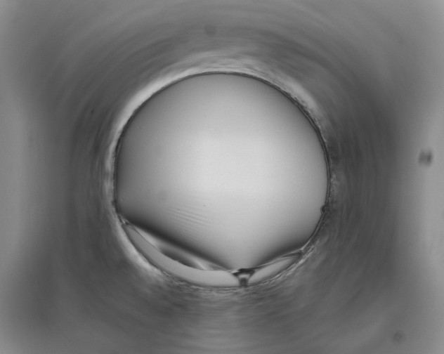 X0000096421528200802211112