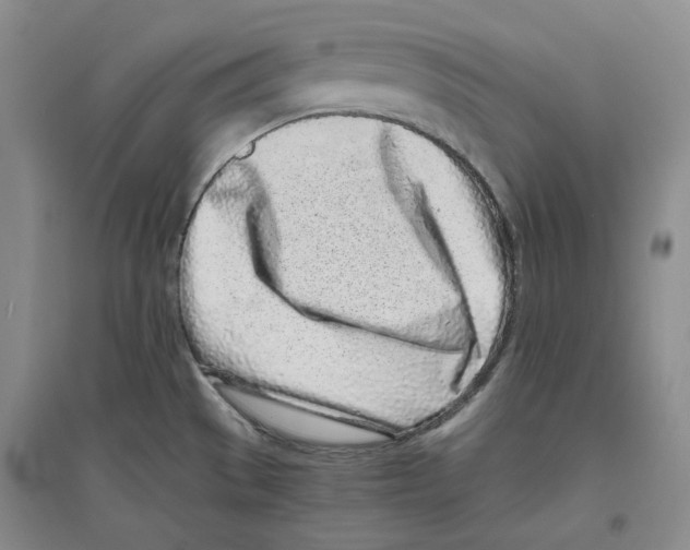 X0000096421529200802211112