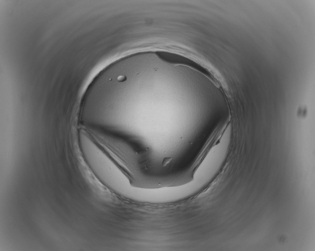 X0000096421530200802211112