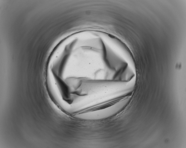 X0000096421531200802211112