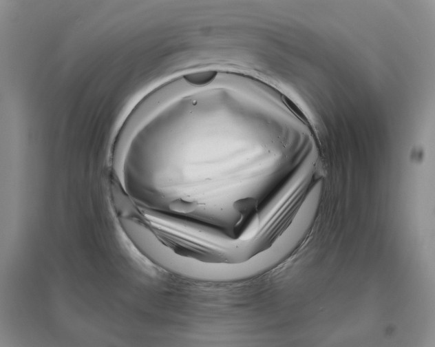 X0000096421532200802211112