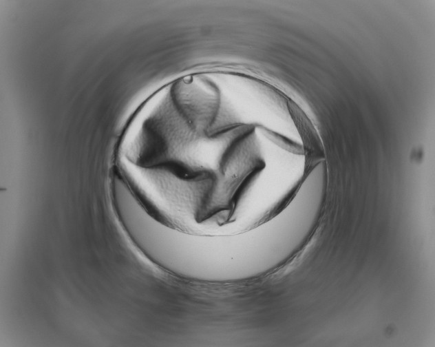 X0000096421533200802211112