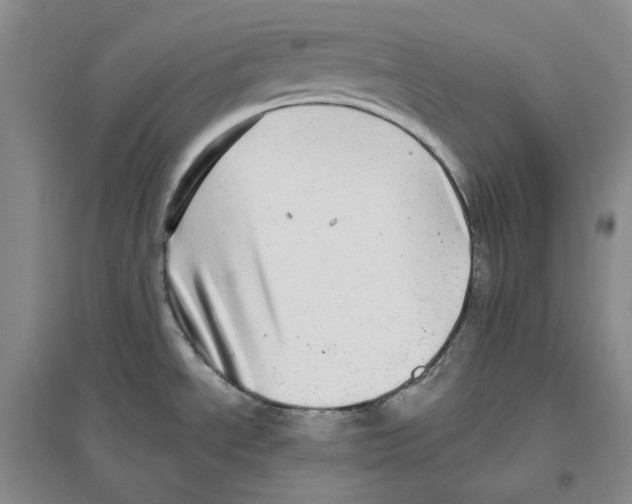 X0000096421534200802211112