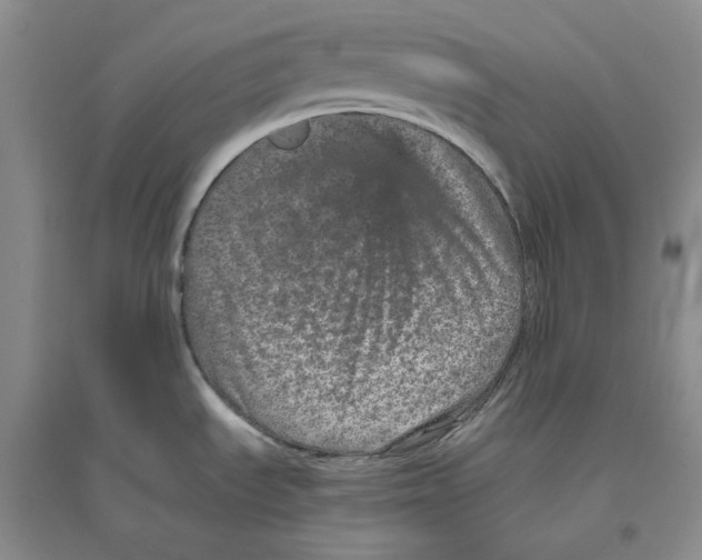 X0000096421535200802211112