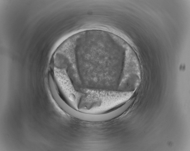 X0000096421536200802211112