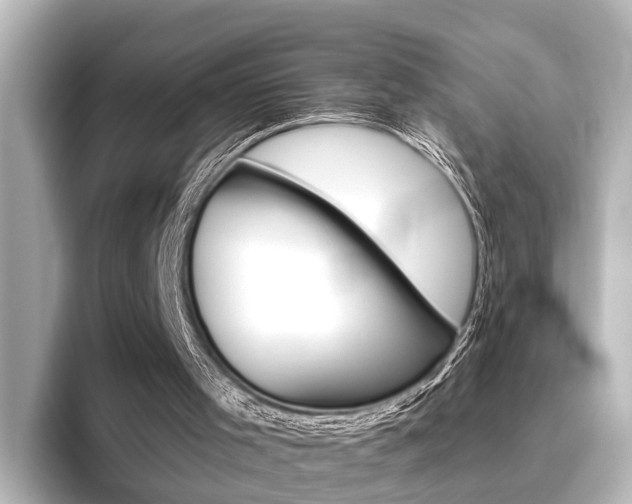 X0000096430001200801241033
