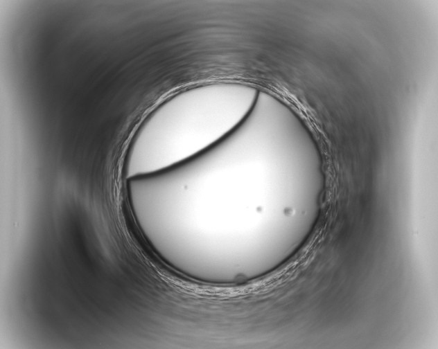 X0000096430002200801241033