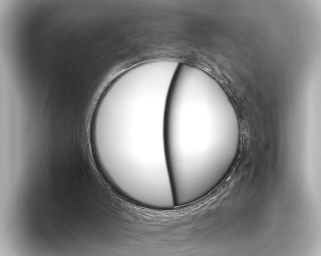 X0000096430006200801241033
