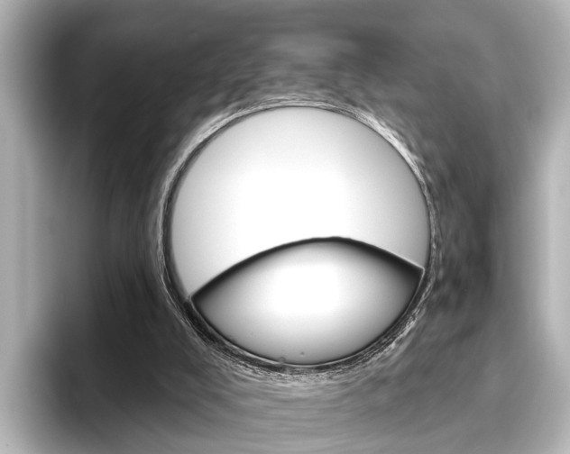 X0000096430008200801241033