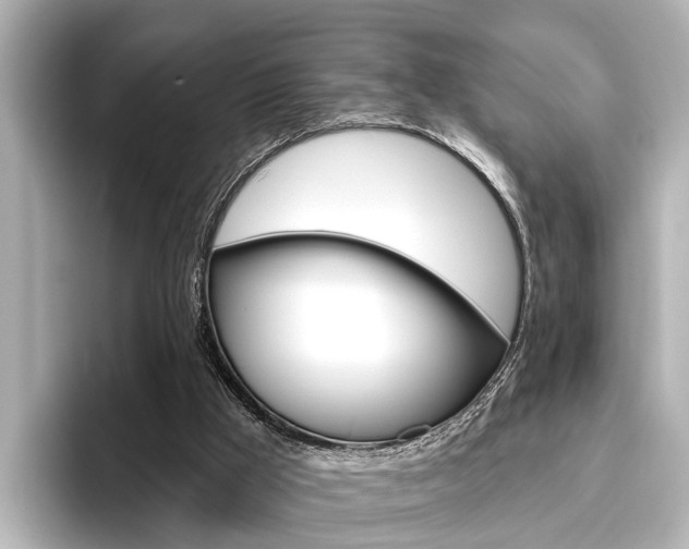 X0000096430009200801241033