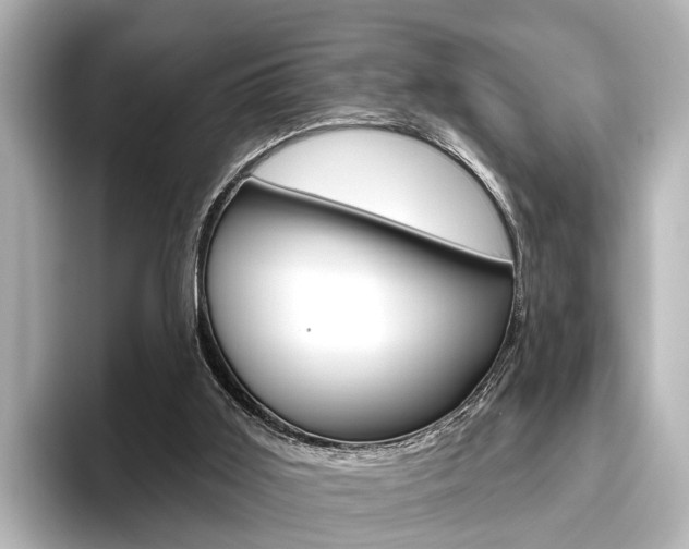 X0000096430011200801241033