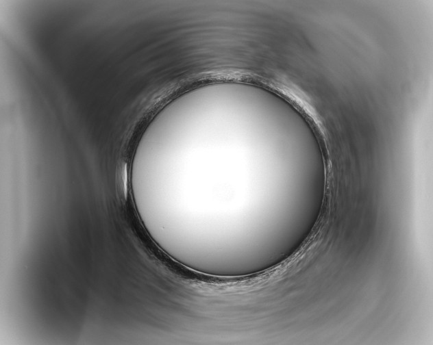 X0000096430013200801241033