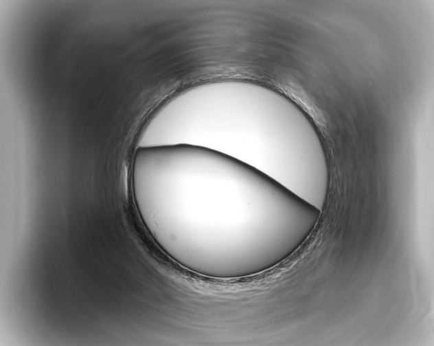 X0000096430014200801241033