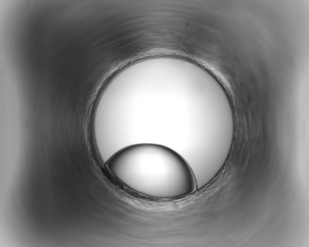 X0000096430015200801241033