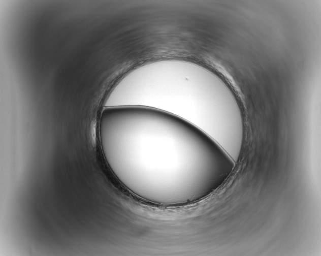X0000096430019200801241033
