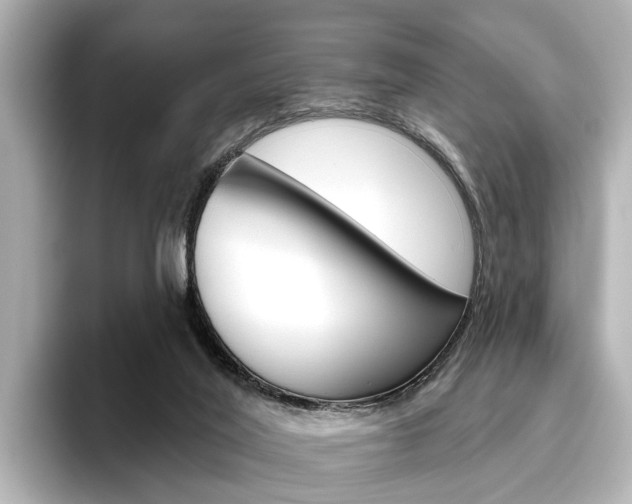 X0000096430020200801241032