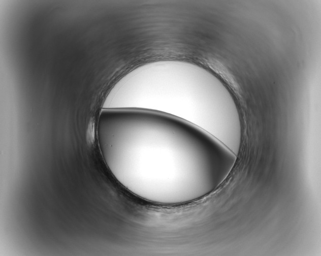 X0000096430021200801241032