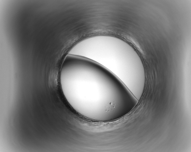 X0000096430023200801241032
