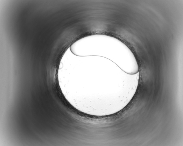 X0000096430024200801241032