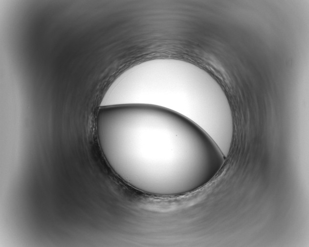 X0000096430029200801241032
