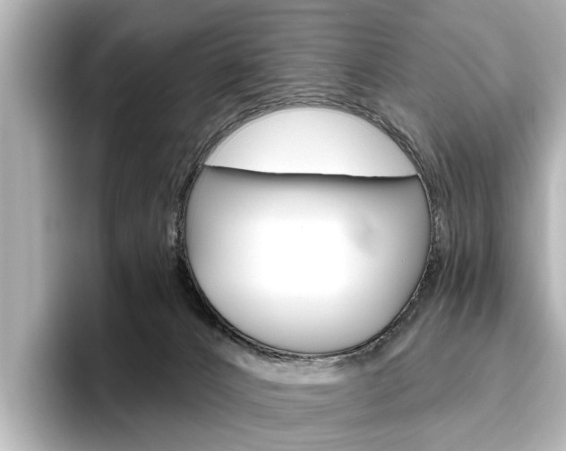 X0000096430032200801241032