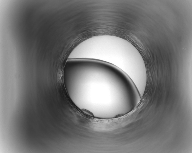 X0000096430045200801241032